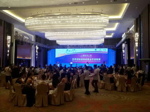 整合资源，打造卓越室内晚宴体验——海南佳鑫文化传播的全方位服务方案