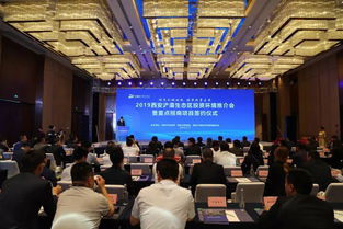 第四届丝博会暨中西部洽谈会西安开幕，共绘合作新篇章