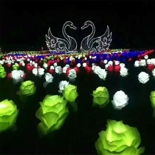 雨夜流光溢彩时——包头会展夜景的惊艳绽放